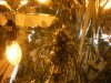 DSCN0078.jpg