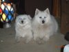 DSCN0262.jpg