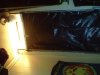 DSC04400.jpg