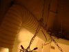 DSC04407.jpg