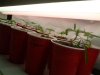 DSC04437.jpg