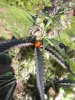 DSCN2054.jpg