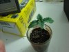 DSC01355.jpg