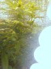 grow room 021.jpg