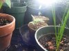 grow room 022.jpg