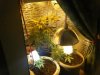 grow room 069.jpg