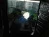 grow room 073.jpg