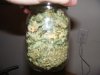 1st oz.jpg