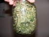 2nd oz.jpg
