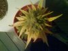 DSC00071.jpg