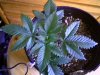 2010-02-22 09-28-42.107.jpg