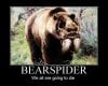 bearspider.jpg