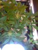 02-23-08_1223.jpg