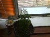 DSC00521.jpg
