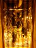 DSC00230.jpg