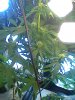 02-24-08_1902.jpg