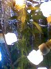 02-24-08_1901.jpg