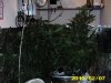 2-8-2010 017.jpg 2-8-2010 017.jpg