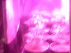 today 025.jpg