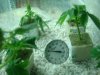 DSC02715.JPG