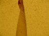 DSC04668.jpg