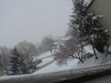 DSC02729.JPG