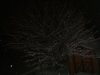 DSC02730.JPG