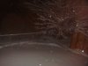 DSC02739.JPG