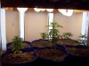 100_0255.jpg