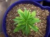 100_0259.jpg