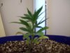100_0260.jpg