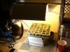 my-grow-lab.jpg