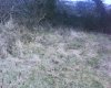 DSC00003.jpg