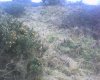 DSC00004.jpg