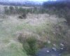 DSC00008.jpg