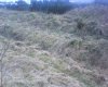 DSC00007.jpg