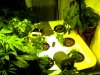 Snapshot_20100302_1.jpg
