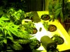 Snapshot_20100302_2.jpg