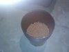 Rockwool2galpot.jpg