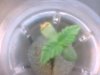 Image5.jpeg