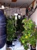 irie_update_021311_0015.jpg