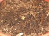grow box 010.jpg