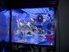 NEW LEDS 001.jpg