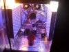 NEW LEDS 007.jpg