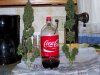 coca%20COLA[1].jpg