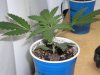 DSCN3474.JPG
