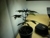 DSCN3478.JPG