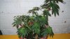100_0866.jpg