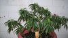 100_0870.jpg