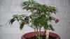 100_0876.jpg